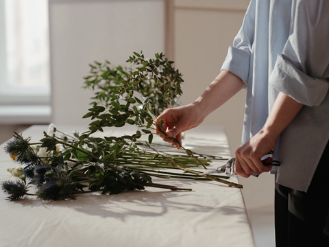 德國商標(biāo)注冊全攻略：從申請價格到代理選擇，一文讀懂所有細(xì)節(jié)