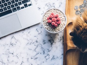 香港公司注冊與合規(guī)管理指南