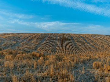 開曼公司稅務與合規(guī)義務詳解