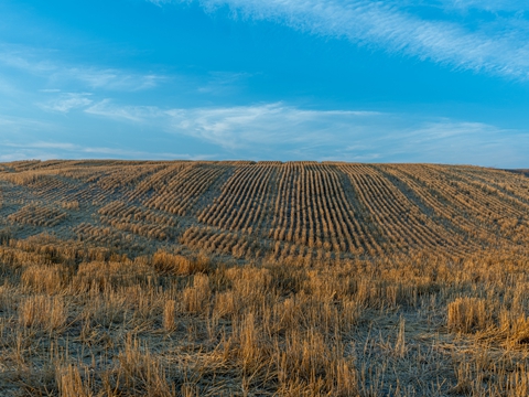 速賣通常用的跨境物流方法有那些 速賣通常用的跨境物流方法有那些